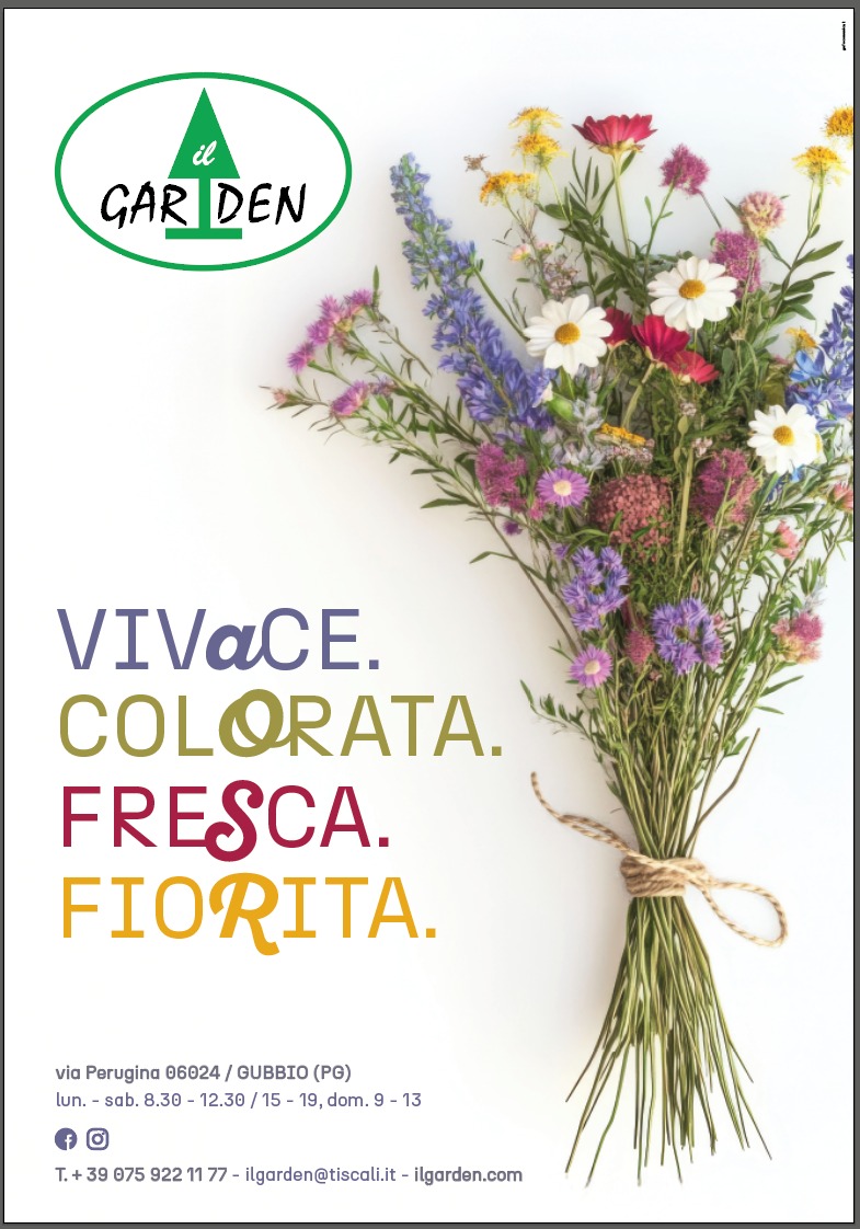Immagine WhatsApp 2025 03 11 ore 13.04.05 cef2e398